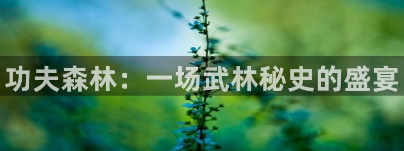 歪歪漫画w：功夫森林：一场武林秘史的盛宴
